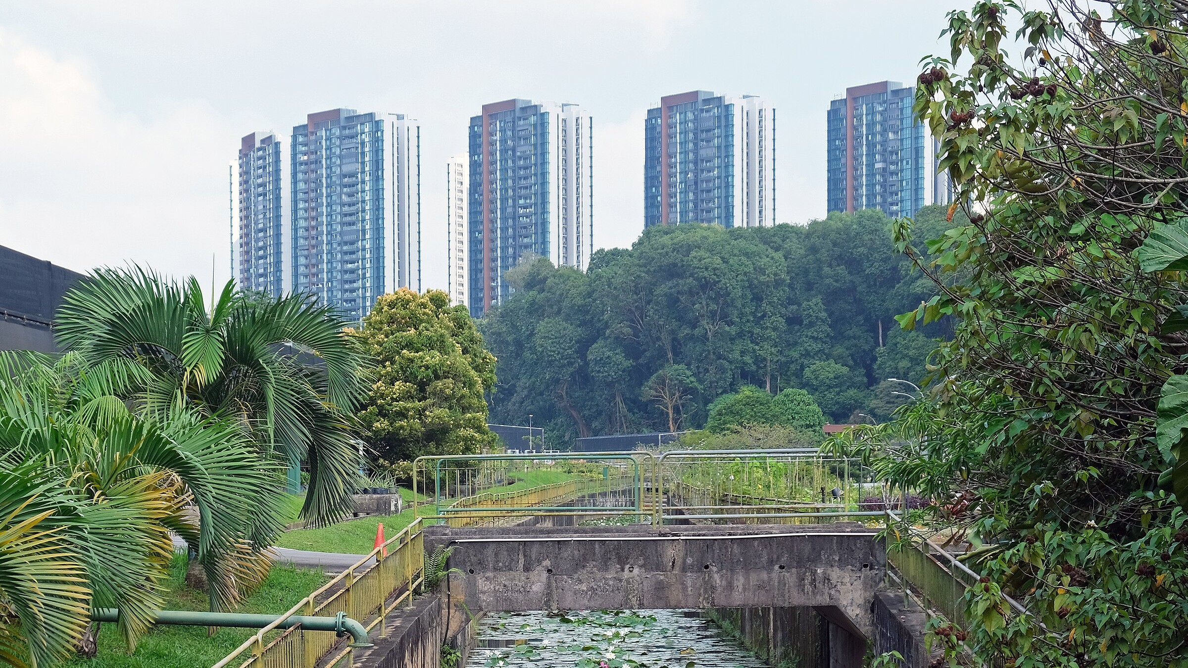 Normanton Park condominium towers rising above greenery, seen from HortPark in Singapore.