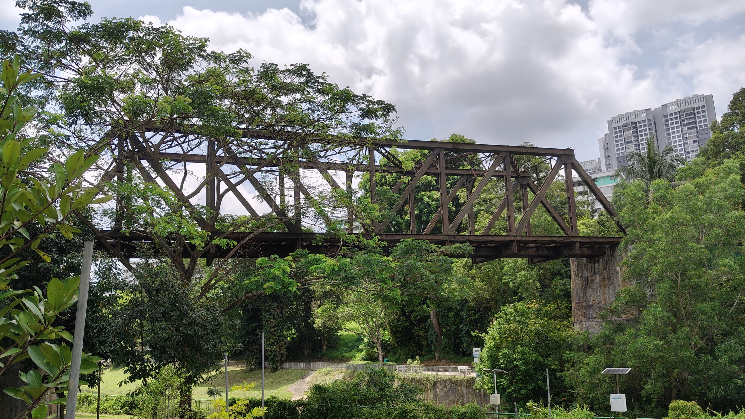 The rusted Old Jurong Line railway bridge crossing greenery in Maju Forest, with an HDB block behind the trees.