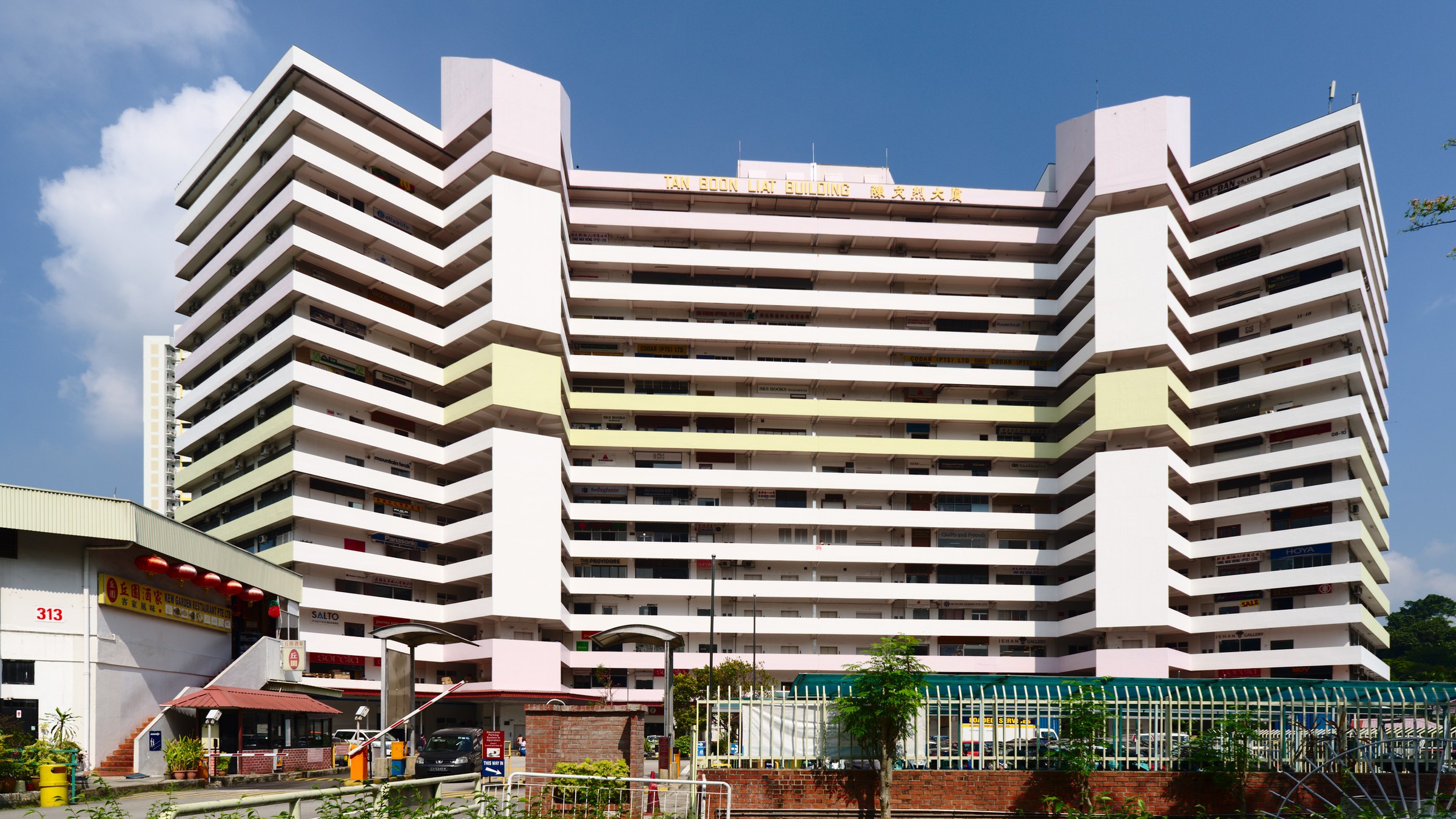 Tan Boon Liat Building, a 15-storey warehouse and showroom block at 315 Outram Road with its name lettered across the top of the facade.